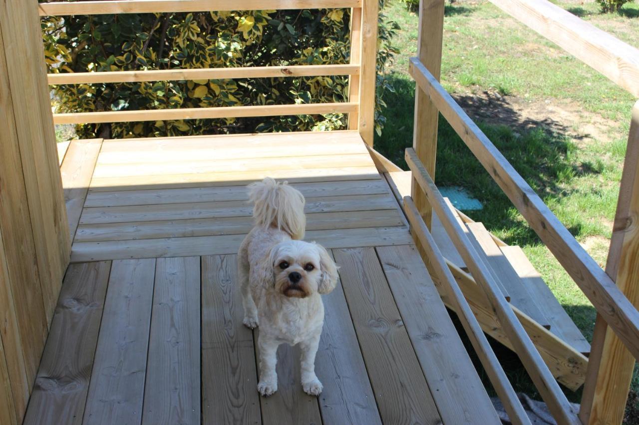 Tiny House Dans Jardin Arbore Perros-Guirec Exterior foto